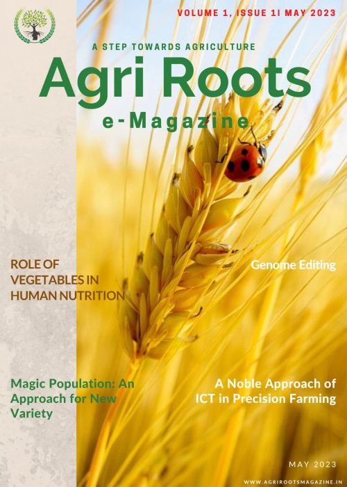 Volume 1, issue 1I May 2023